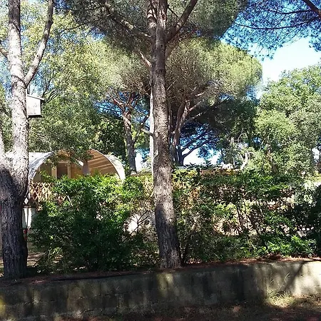 Camping Les Tours Du Pinet Domaine Cezanne Kemp Saint Tropez