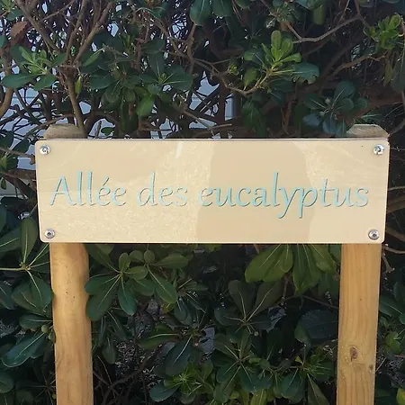 Camping Les Tours Du Pinet Domaine Cezanne *